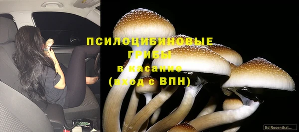 кокс Алексин