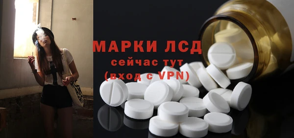 винт Алзамай