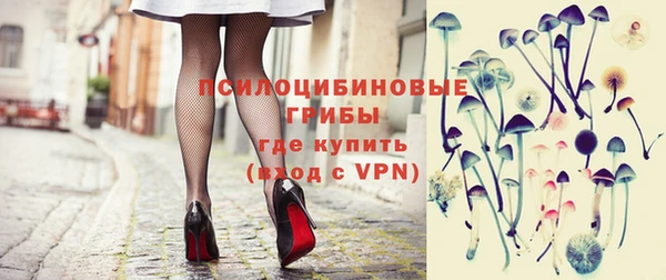 винт Алзамай